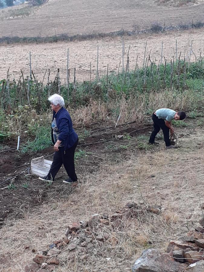 Agriturismo S'Armidda Seulo Bagian luar foto