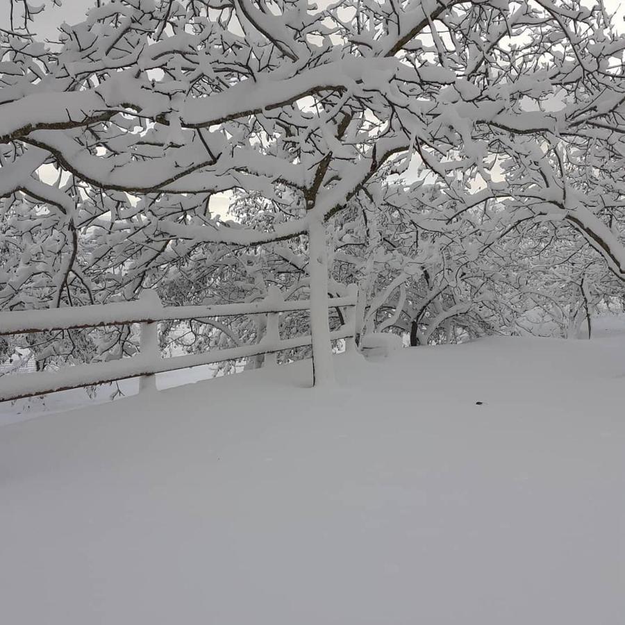 Agriturismo S'Armidda Seulo Bagian luar foto