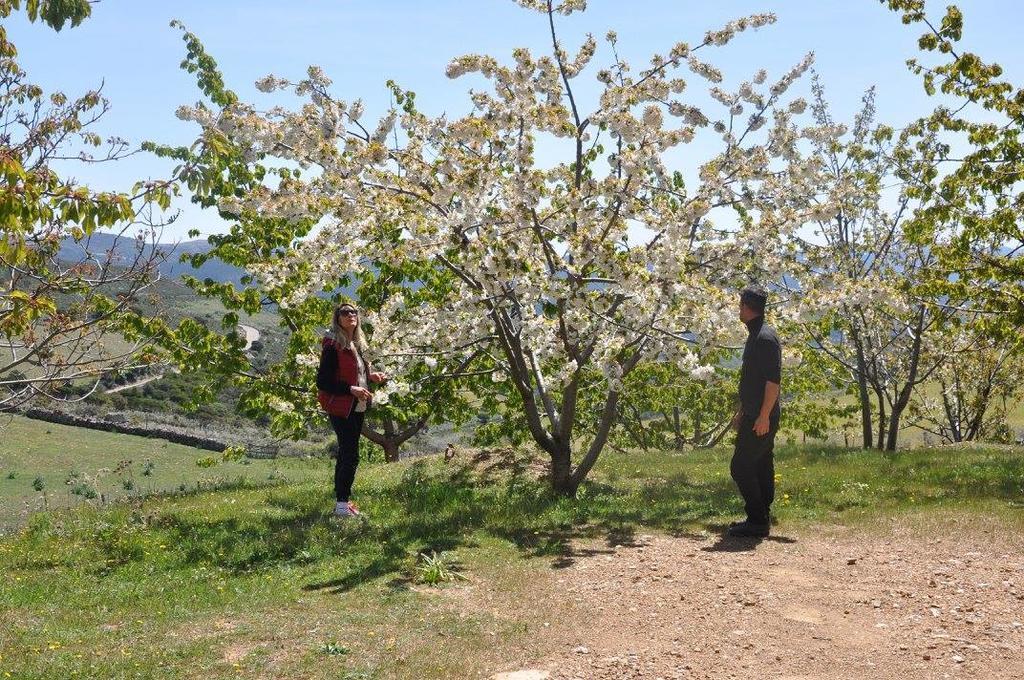 Agriturismo S'Armidda Seulo Bagian luar foto